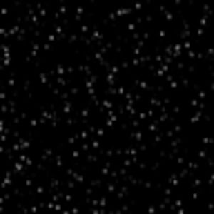 Meet your Posher, Isabel